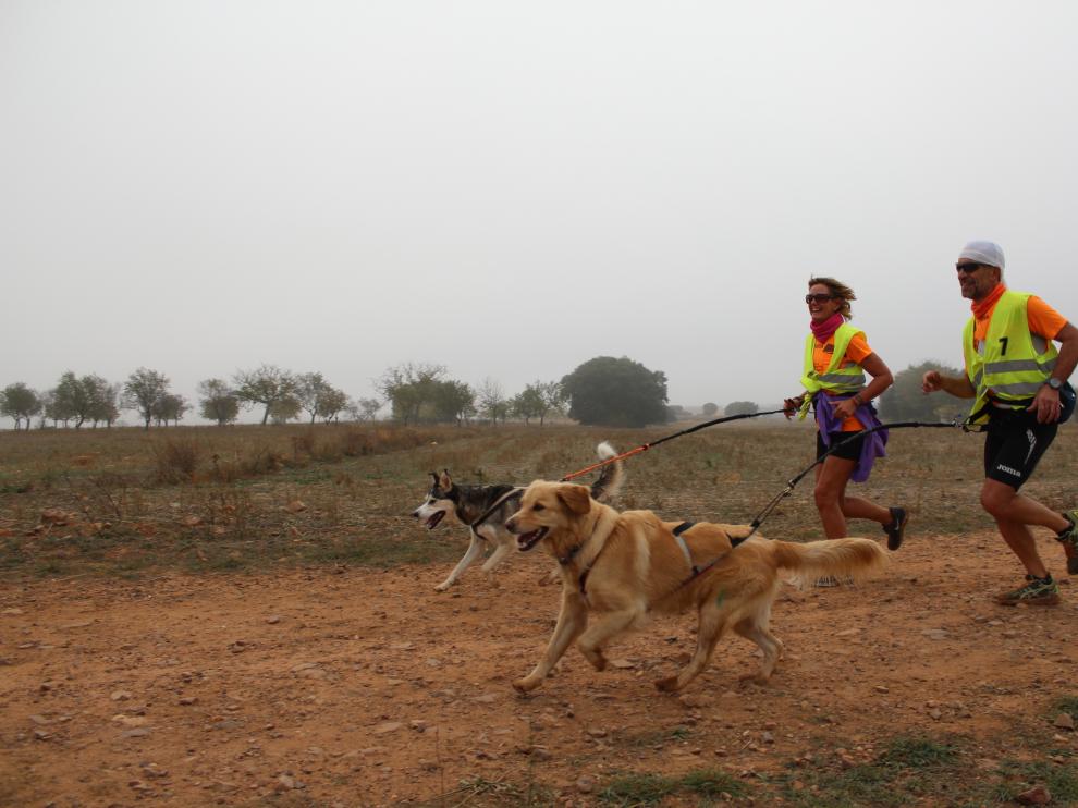 Éxito de participación en la III Carrera de Fuentes Claras con perros de tiro