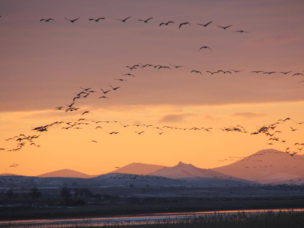 La laguna de Gallocanta