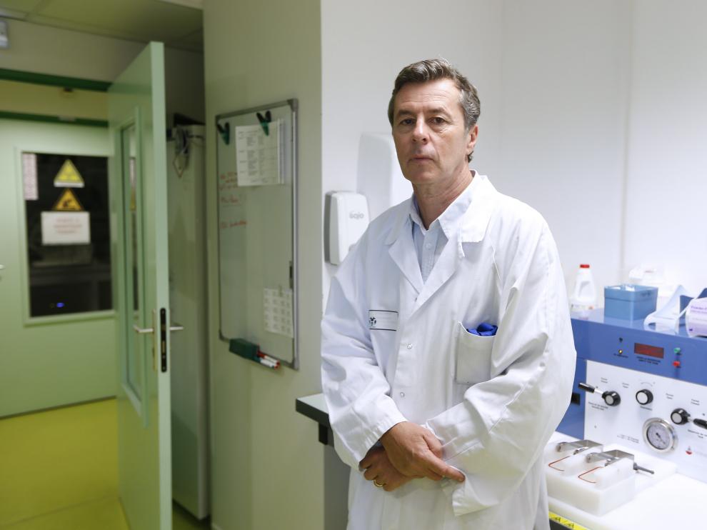 Los trabajos han sido desarrollados por el equipo dirigido por el profesor Paul Hofman.