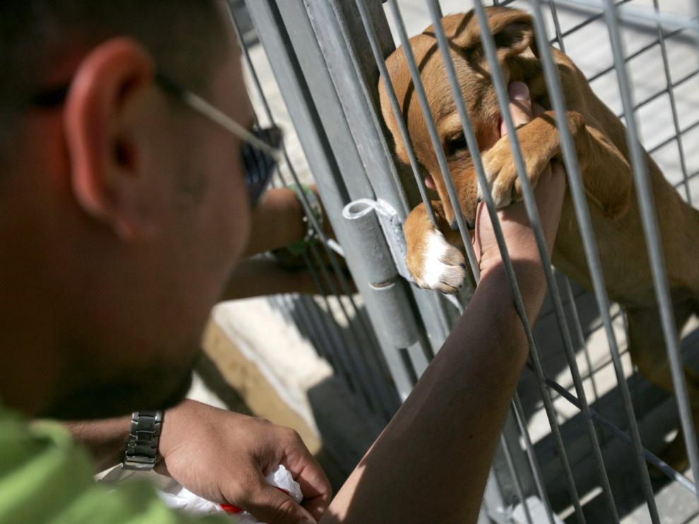 Centro Municipal de Protección Animal de Zaragoza