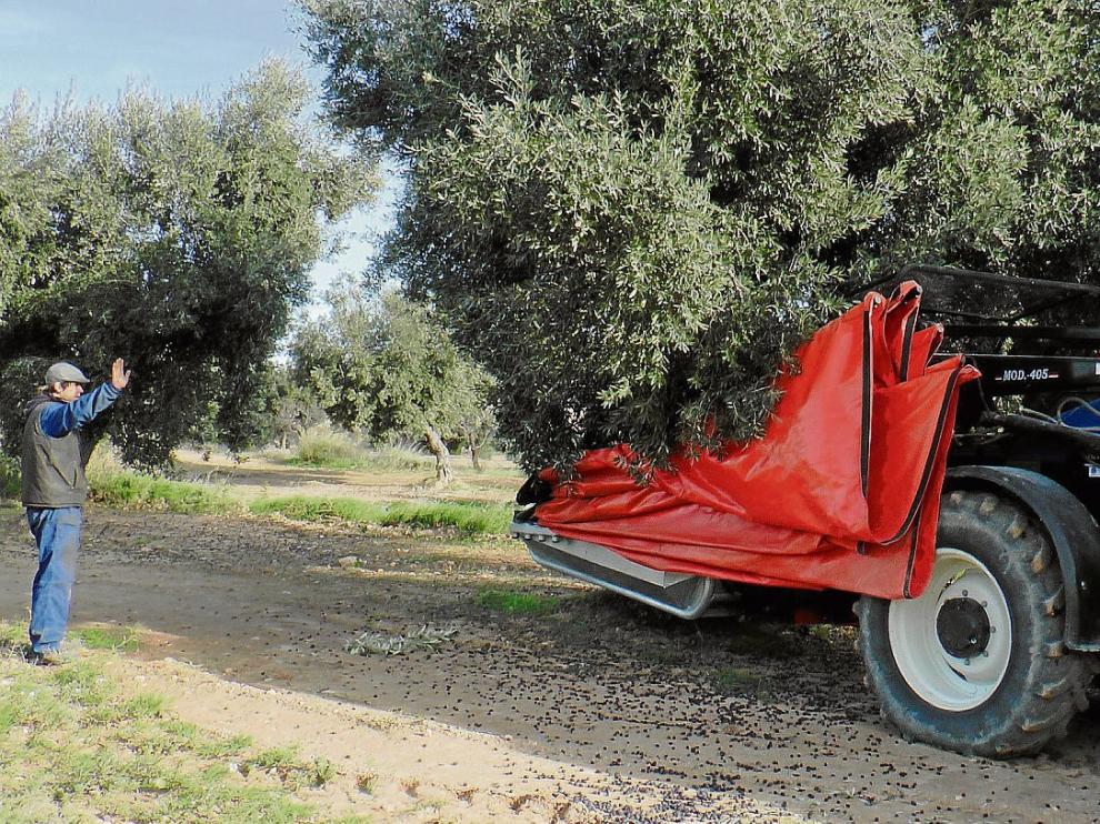 Un agricultor controla el proceso de recolección en una finca de Torrevelilla