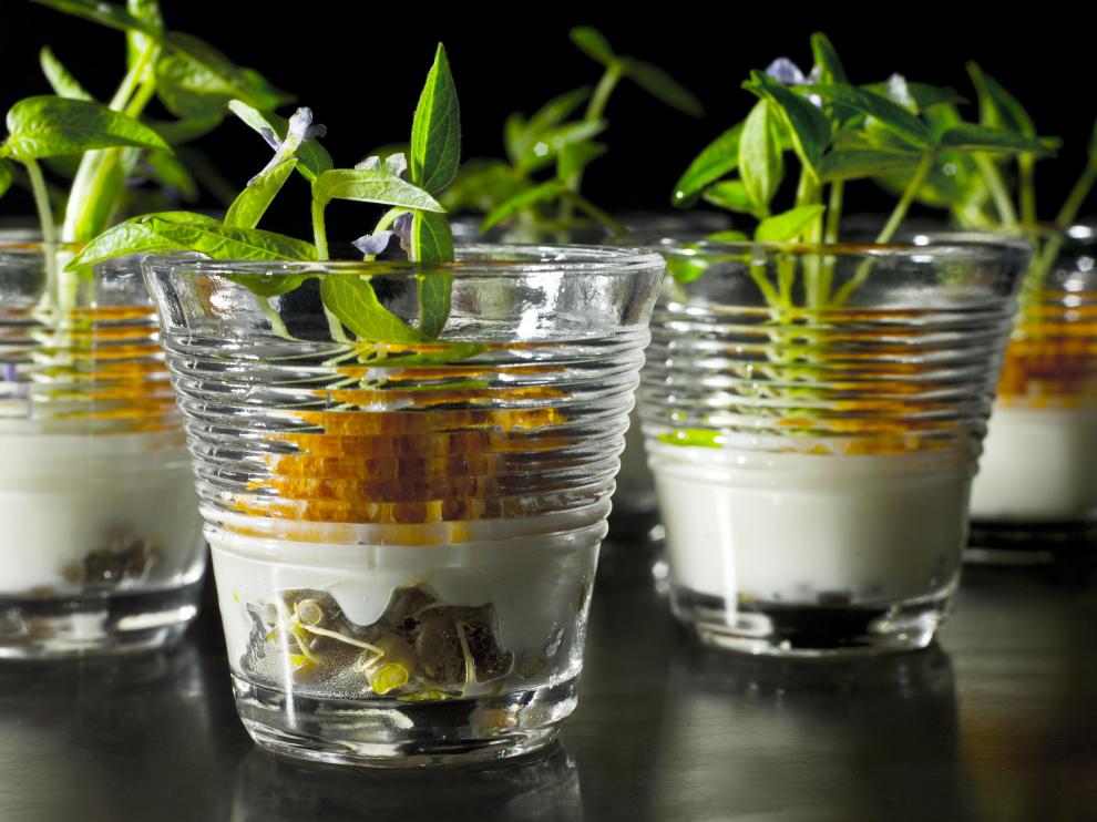 Una de las propuestas que deleitarán a madrileños y visitantes en el Gastrofestival de Madrid