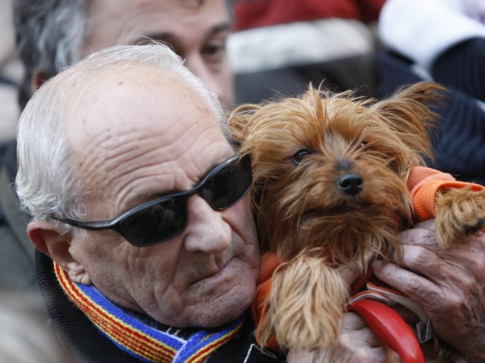 Las mascotas y sus dueños celebran San Antón