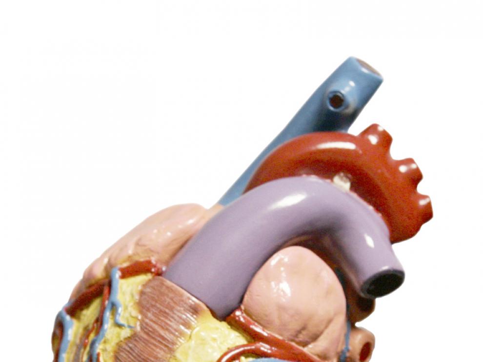 Las dolencias cardiacas son las principales causantes de muertes por enfermedad no transmisible.