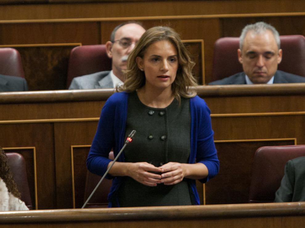 Diputada socialista en el Congreso, Susana Sumelzo