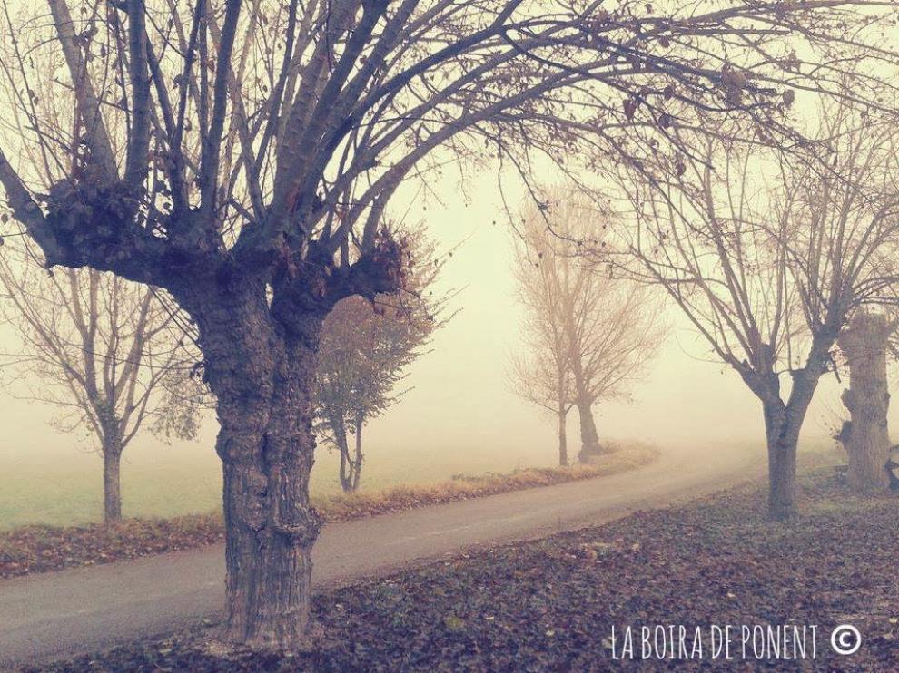 Así embellece la niebla el paisaje en estas localidades leridanas