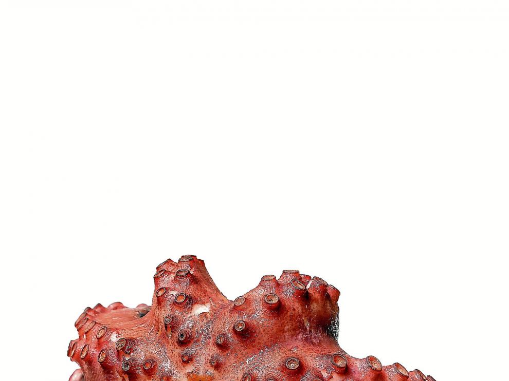 Pulpo: un molusco al que hay que cogerle el punto de cocción, pero que ofrece muchas posibilidades tanto en platos fríos como calientes.