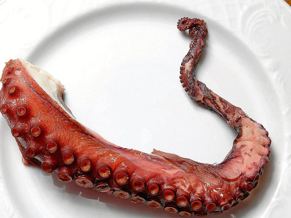 Tentáculo de un pulpo, listo para comer.