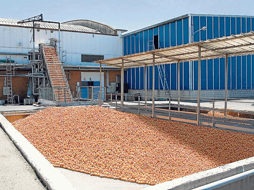 Instalaciones de la planta de Zufrisa en la localidad zaragozana de Calatorao