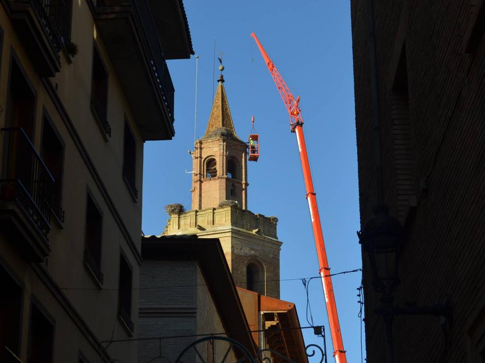Trabajos de retirada de los nidos de la torre de la catedral.