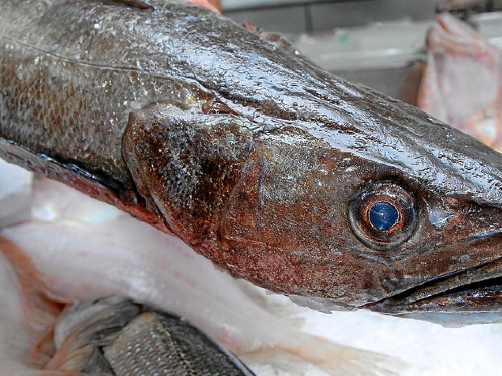 Ejemplar de merluza en una pescadería de Zaragoza
