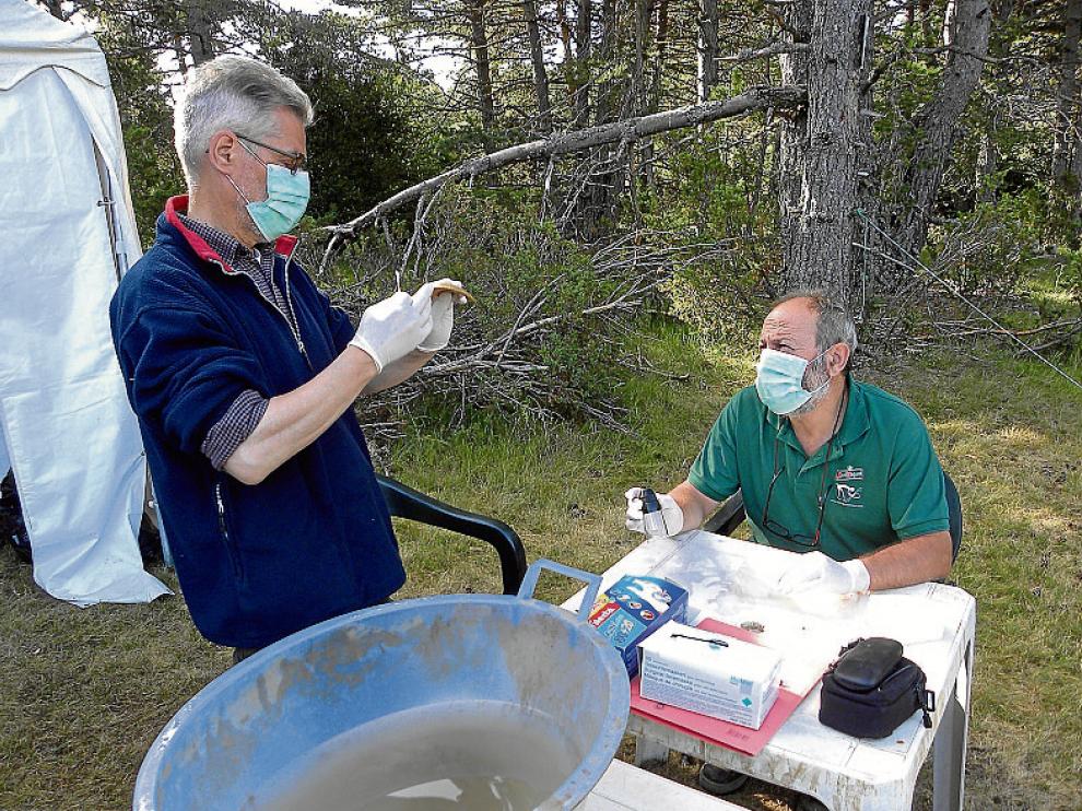 Cráneo humano encontrado en las excavaciones arqueológicas en la cueva de Els Trocs, en Huesca.