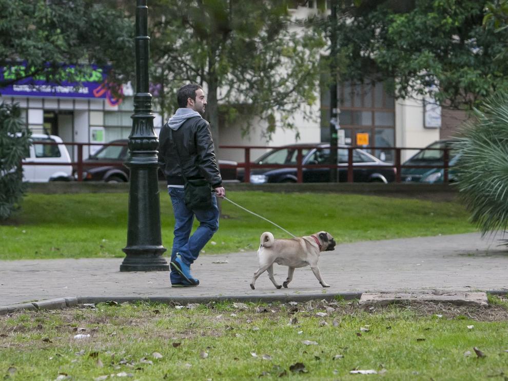 El Ayuntamiento utilizará el ADN canino para multar a quienes no recojan las heces