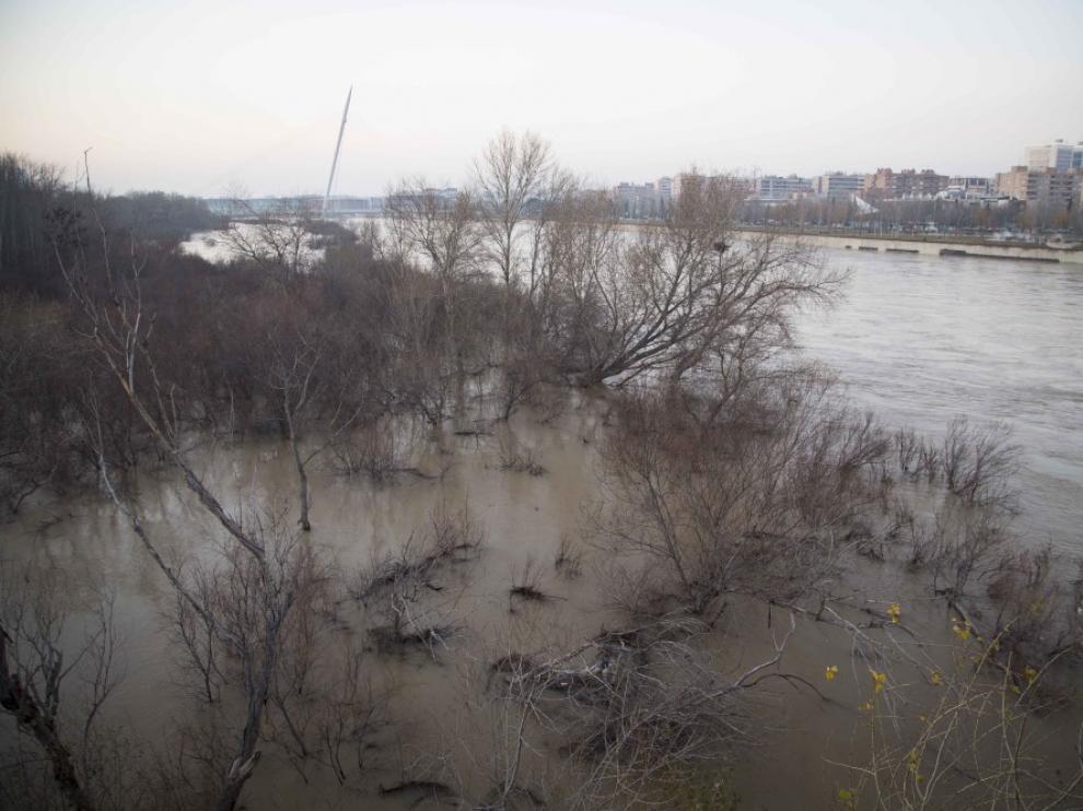 El Ebro a su paso por Zaragoza, la semana pasada