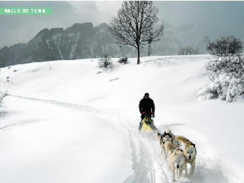 Pilotar por la nieve un trineo tirado por perros es posible en Formigal.