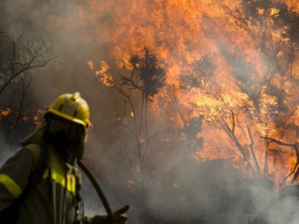 La reforma de la Ley de Montes permitirá construir en terrenos recién quemados