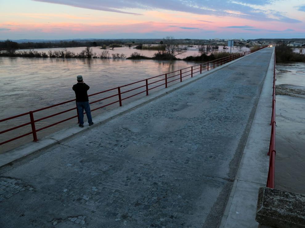 Un hombre mira el río en Quinto de Ebro