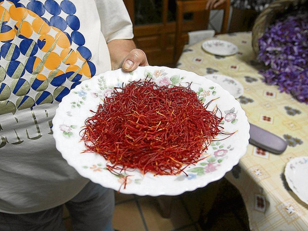 Azafrán de Aragón, recién esbriznado, una especia tradicional en nuestras cocinas
