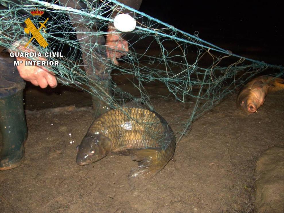Detiene a tres personas infraganti pescando en el embalse de Mequinenza