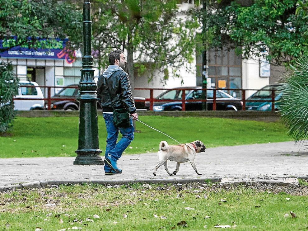 El Ayuntamiento estudia crear un banco de ADN para facilitar la identificación de los perros
