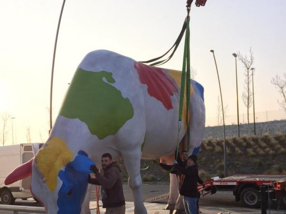 Las vacas más grandes de Europa llegan a Zaragoza