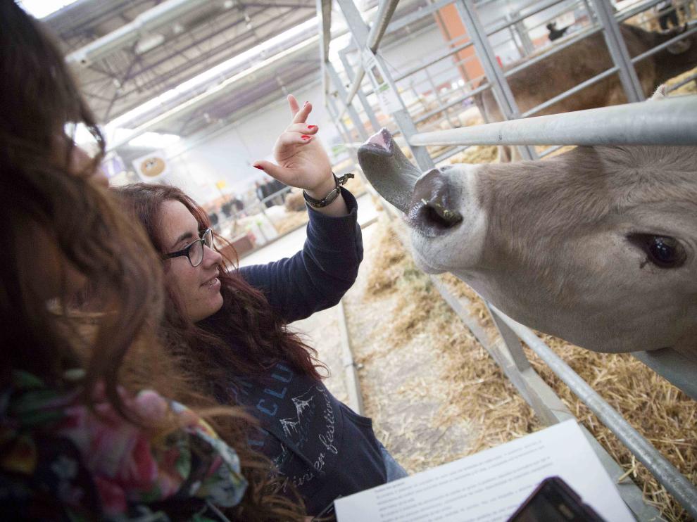 Feria Internacional para la Producción Animal
