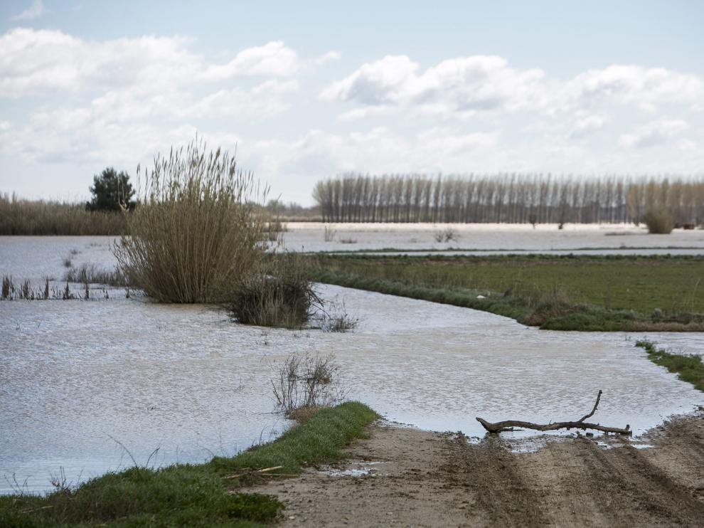 Punta de la crecida, este miércoles en la Ribera Alta del Ebro