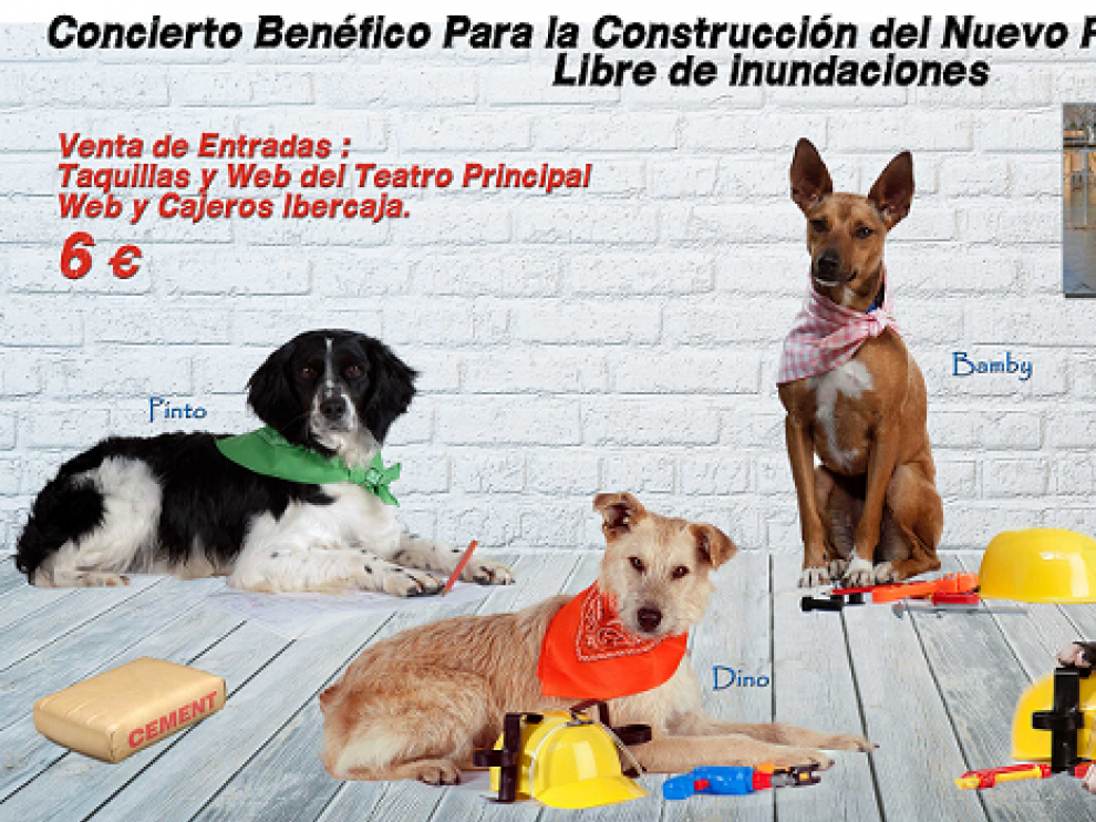 Concierto benéfico para financiar las obras de un nuevo refugio para perros en Peñaflor