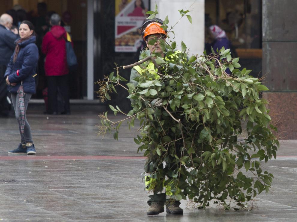Un trabajador de jardines, en plena poda