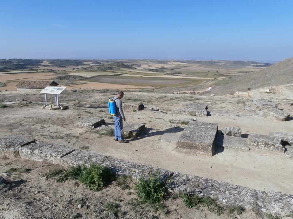 Tareas de limpieza en Los Bañales, a cargo del Ayuntamiento de Layana