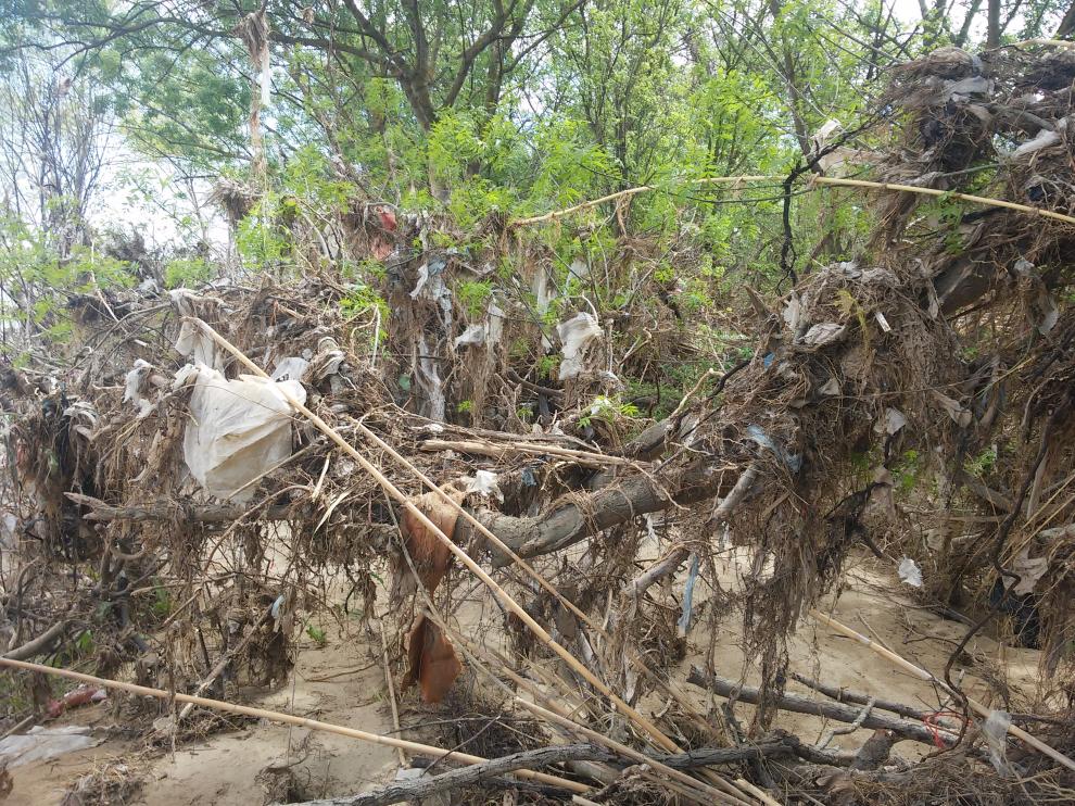 Basura en el Soto de Cantalobos
