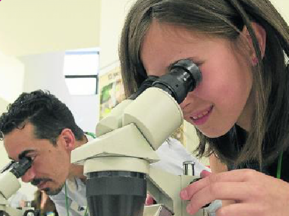 Imagen de la II Science Fair, celebrada el pasado 17 de marzo, en la Facultad de Educación de Zaragoza