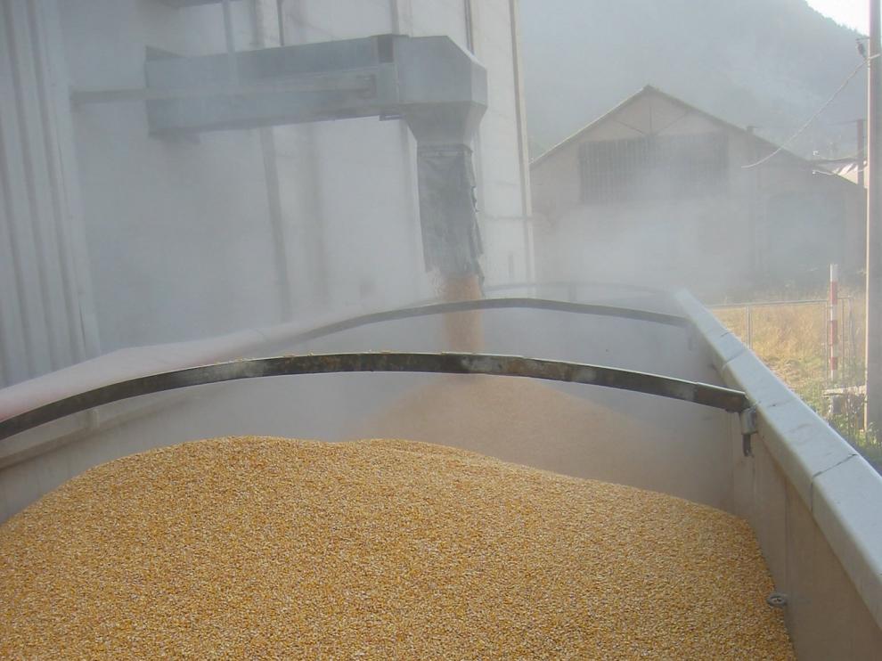 Carga de grano en un silo