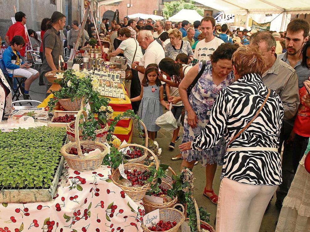 La Feria de la Cereza de Bolea del año pasado registró muchísima animación, que se espera se repita hoy.