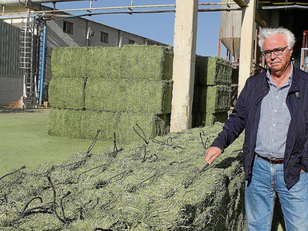 Juan Vitallé, del grupo Alfeed, muestra una de las líneas de trabajo mejorada.
