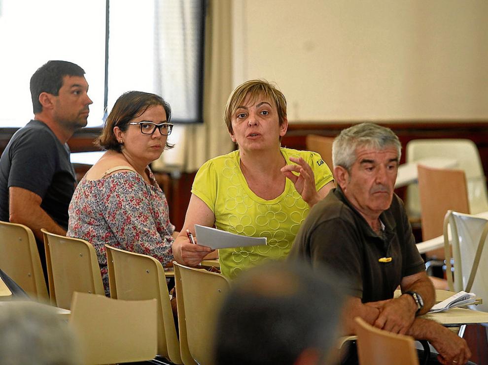 Pilar Novales, portavoz de Cambiar Huesca, durante una intervención en la asamblea de ayer