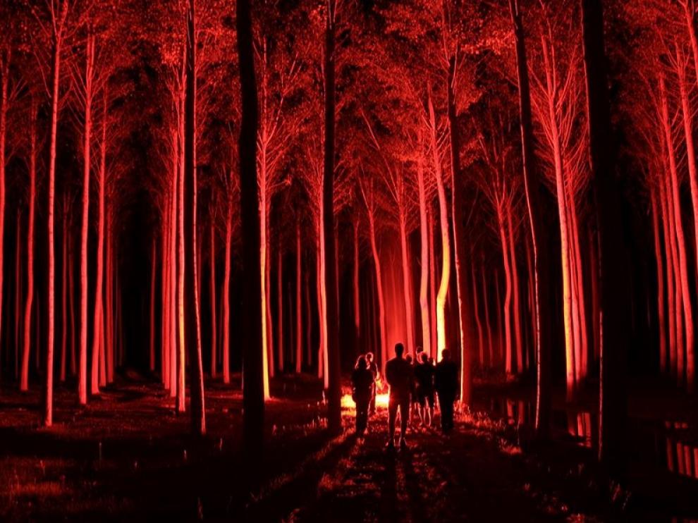 Veladas nocturna de fantasía