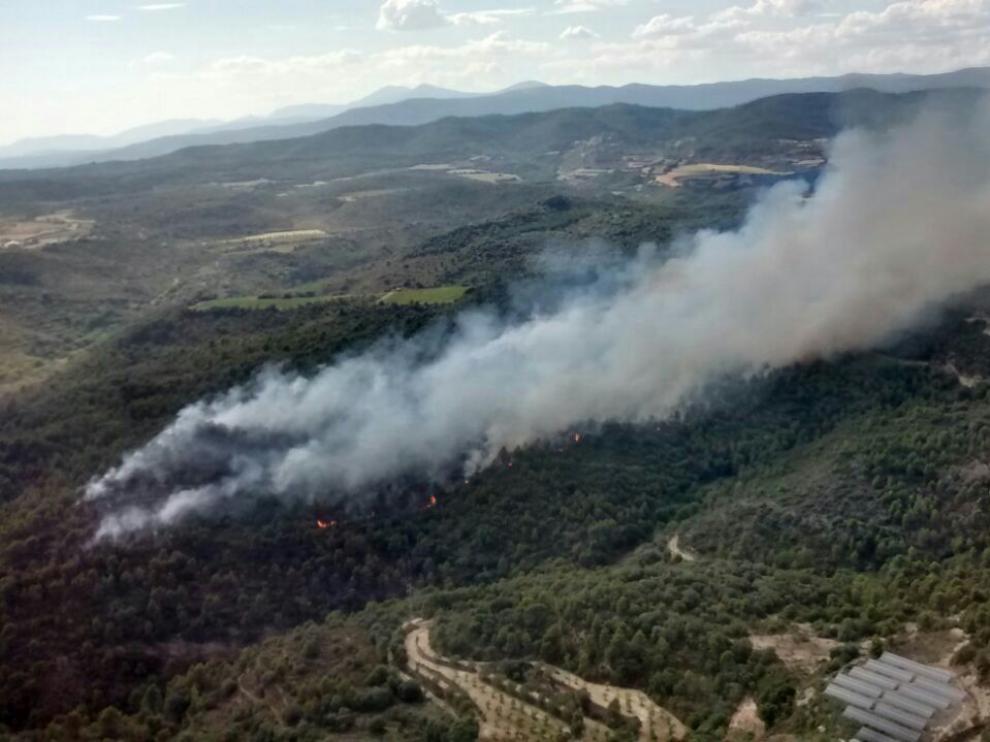 Incendio en el pantano de El Grado