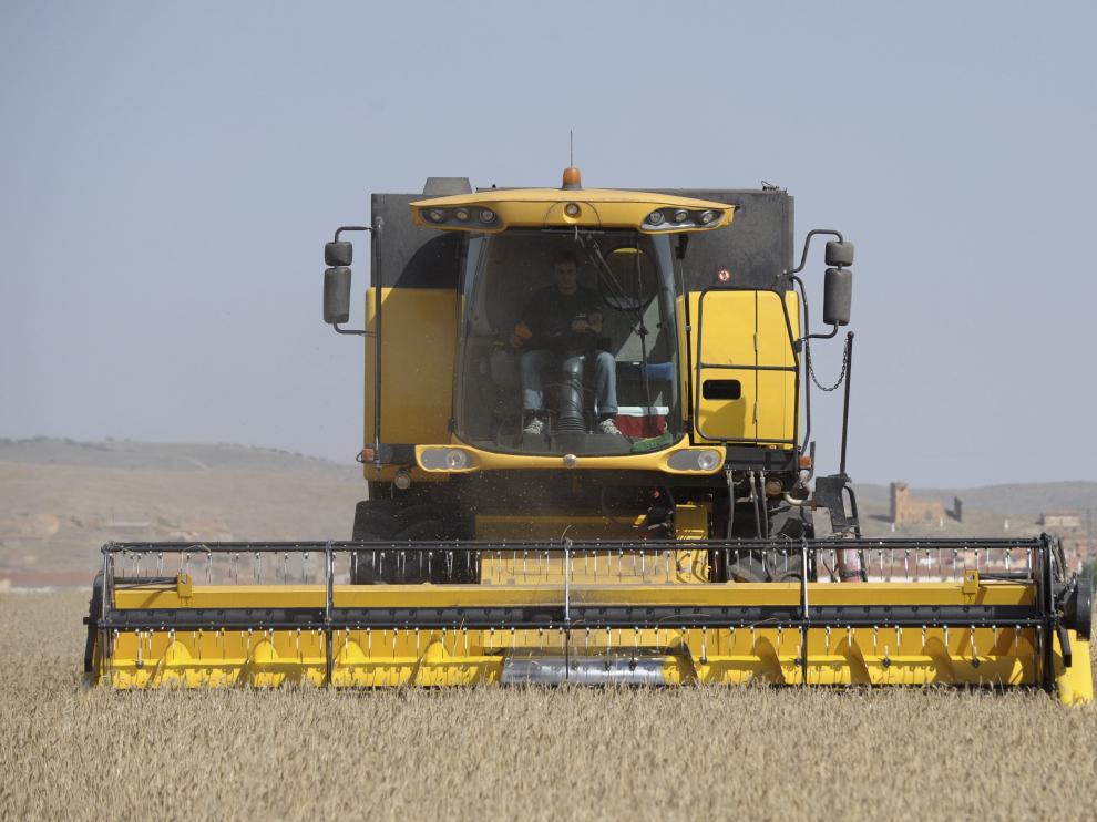 Una cosechadora, en un campo aragonés