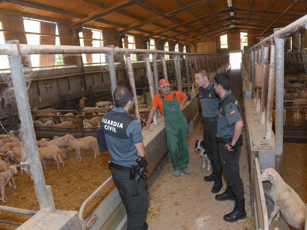 El grupo ROCA de la Guardia Civil, encargado de estos delitos, en el Bajo Aragón