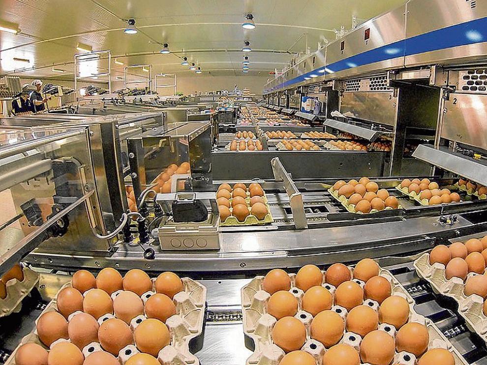 Las modernas instalaciones de la Granja San Miguel incluyen este centro de clasificación.