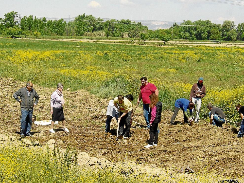 El equipo que colabora en el proyecto realiza algunos de los primeros trabajos en la parcela.