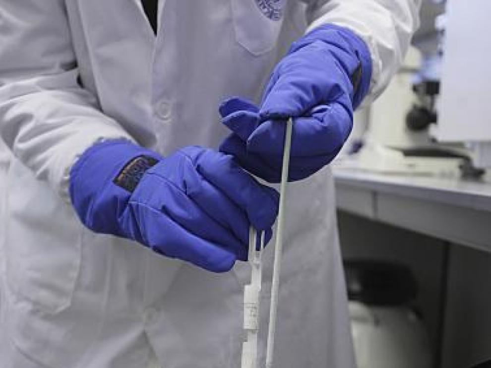 Los experimentos con embriones humanos podrían dar comienzo en los próximos meses.