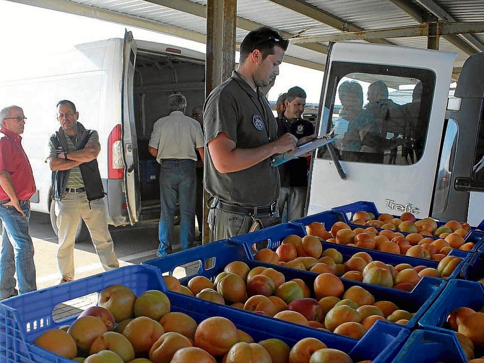 Actividad en Mercofraga al comienzo de la campaña de fruta de hueso.
