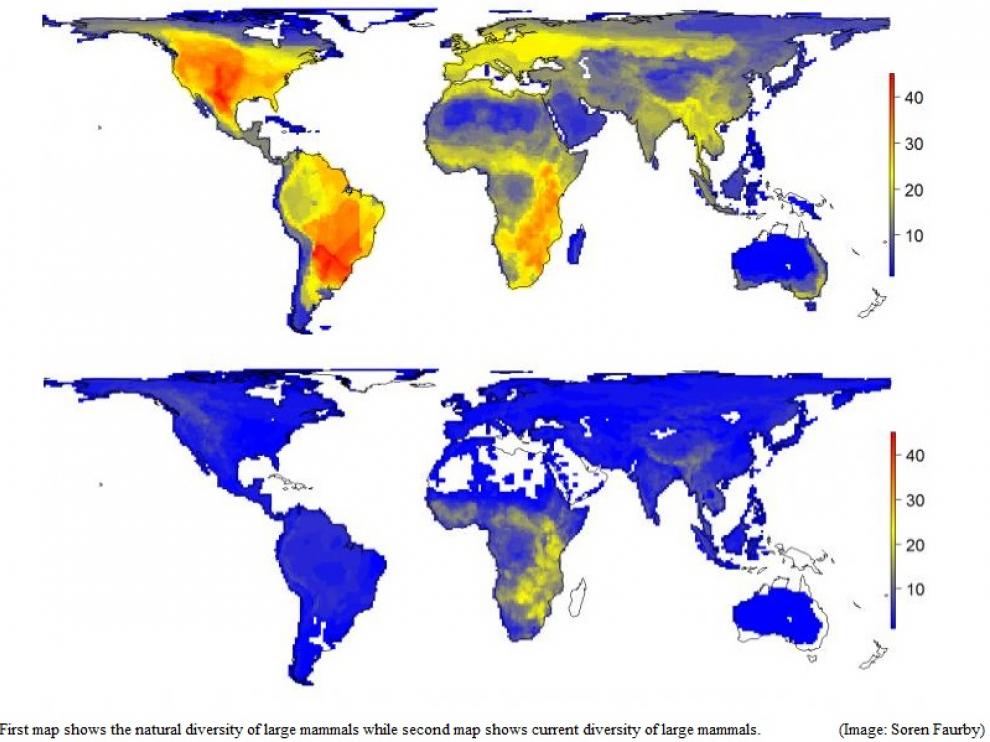 El primer mapa muestra la diversidad natural de los grandes mamíferos mientras que el segundo mapa muestra su diversidad actual.