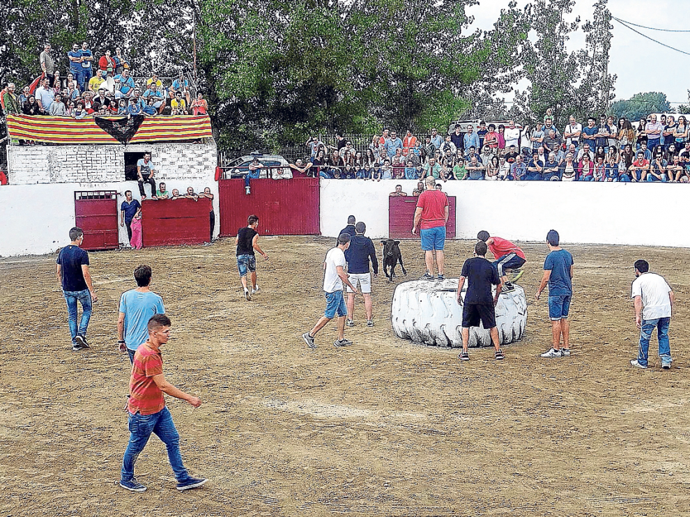 Los altorriconenses lo pasaron ayer en grande en los actos taurinos que se organizaron.