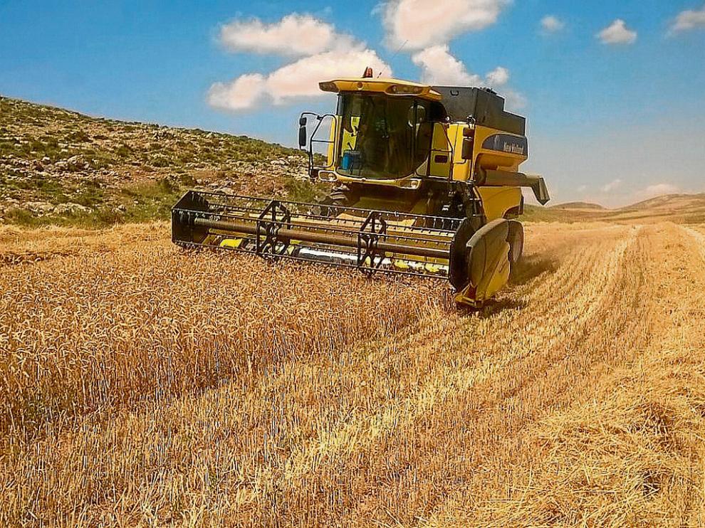 Un agricultor de Galve, ayer en plena cosecha de uno de sus campos.