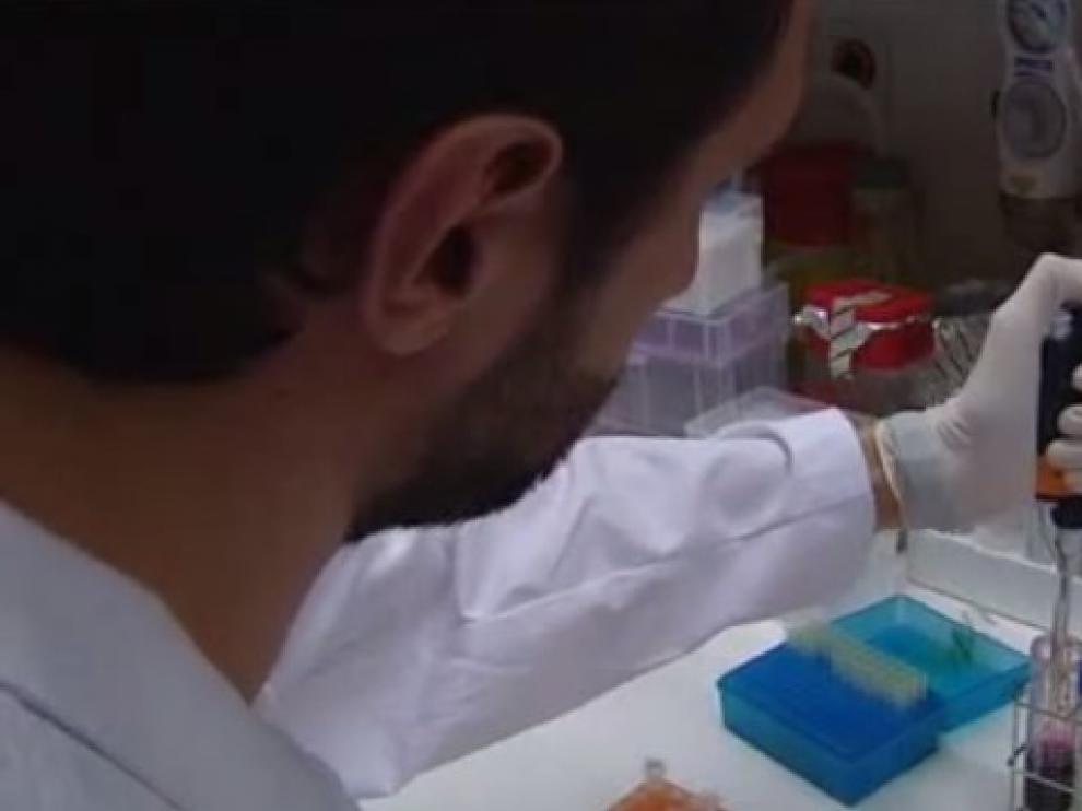 Un grupo de investigación del Vall d'Hebron Instituto de Oncología (Vhio) dirige este estudio.