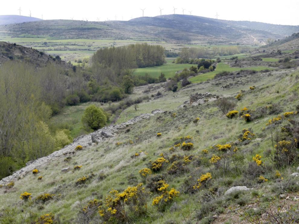 Terrenos en los que irá ubicada la presa del río Mayor de San Pedro Manrique.