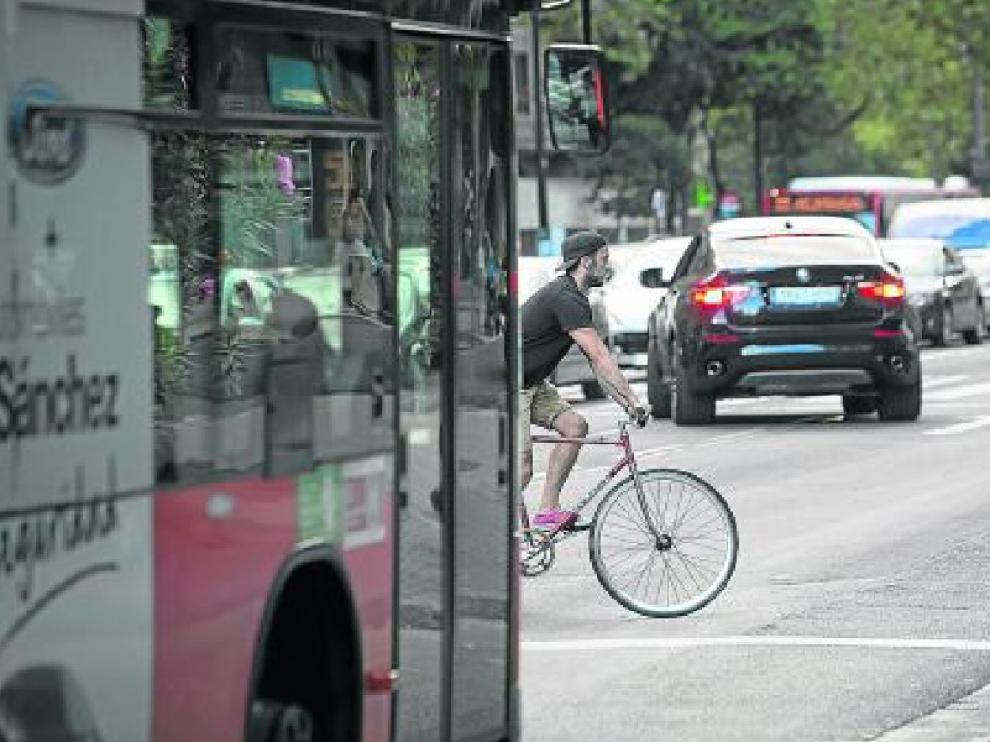 Un ciclista en el Paseo María Agustín, entre coches y autobuses